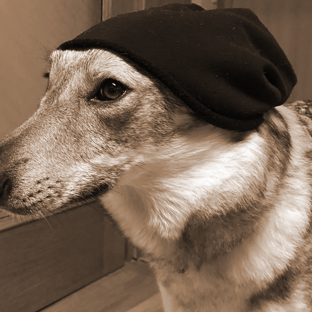 lunar-lupus-filmwolves-13